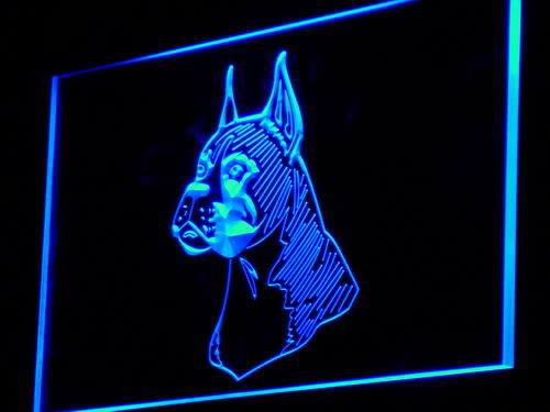 Boxer Head Dog Lure Pet Shop Neon Light Sign